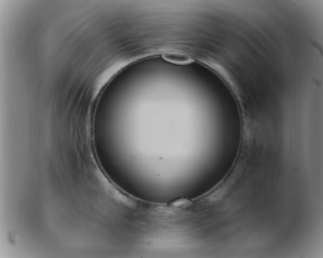 X0000103500910200809191942