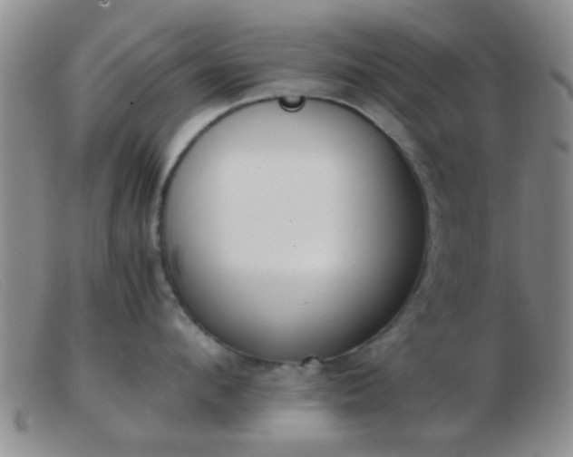 X0000103500912200809191942