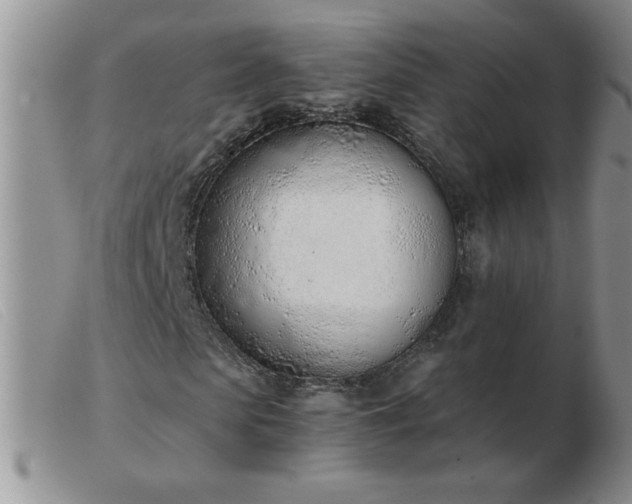 X0000103500913200809191942