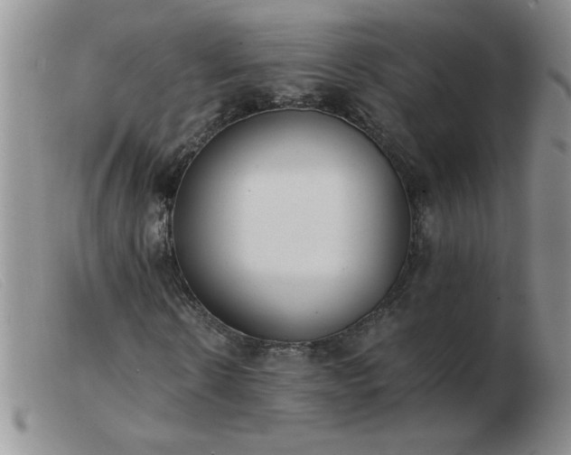 X0000103500914200809191942