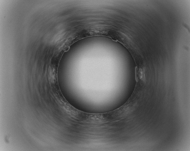 X0000103500915200809191942