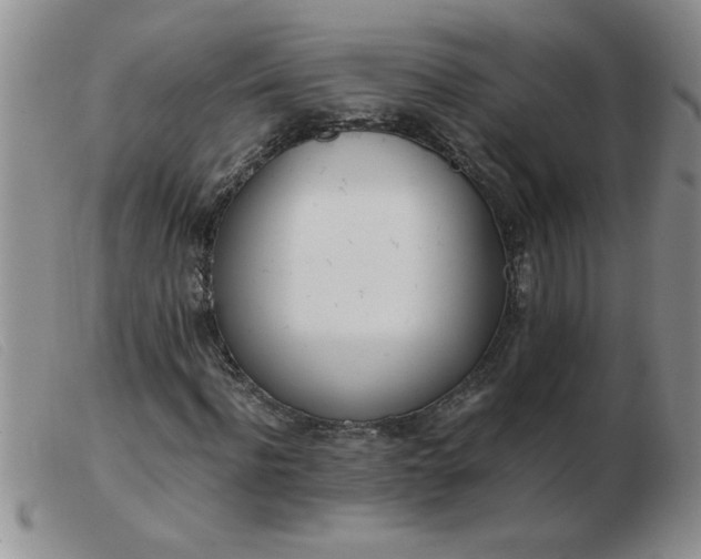 X0000103500916200809191942