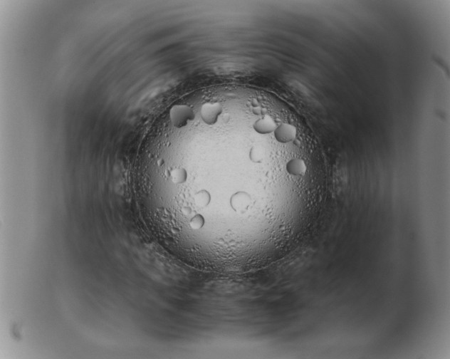 X0000103500917200809191942