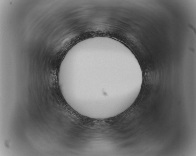 X0000103500918200809191942