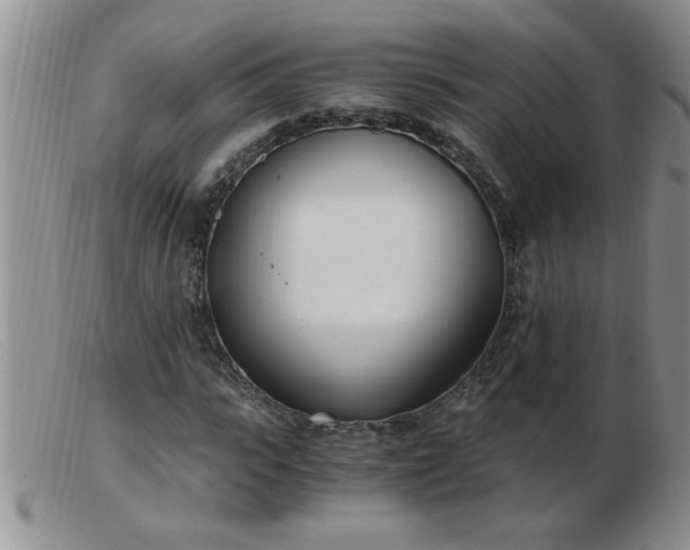 X0000103500919200809191942