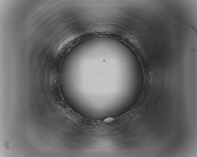 X0000103500920200809191942