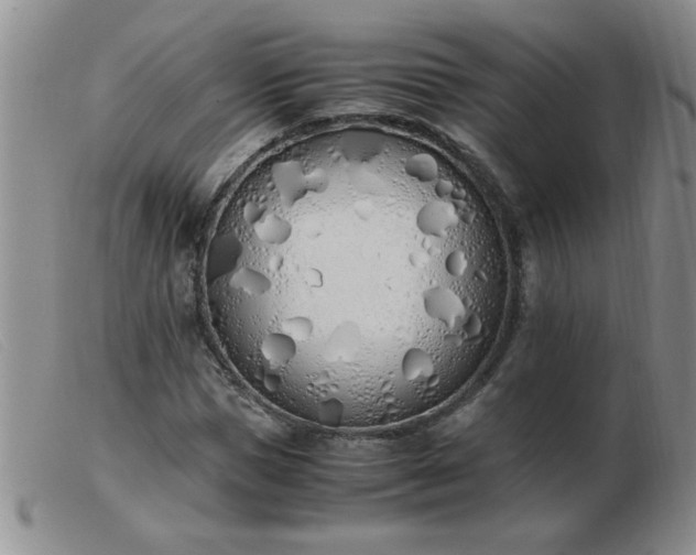 X0000103500921200809191942