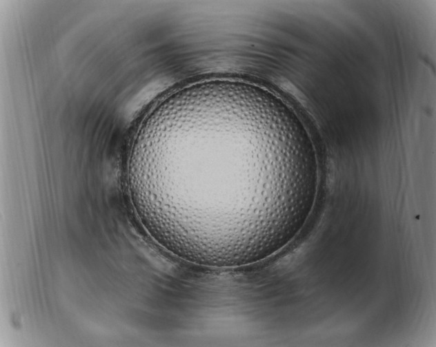 X0000103500922200809191942