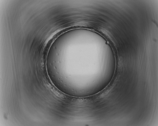 X0000103500923200809191942