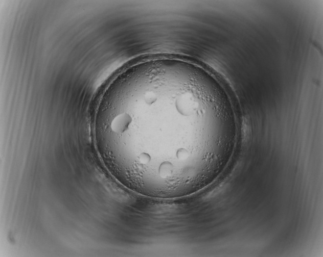 X0000103500925200809191942