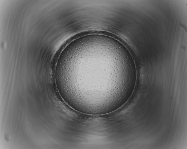 X0000103500926200809191942