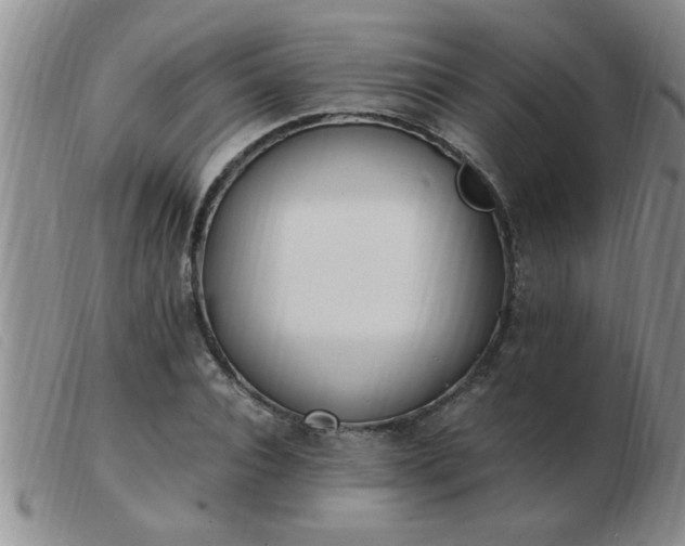 X0000103500928200809191942