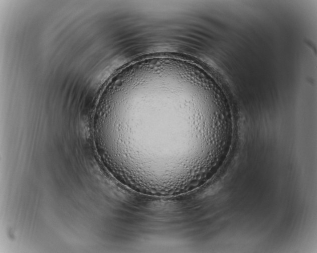 X0000103500929200809191942