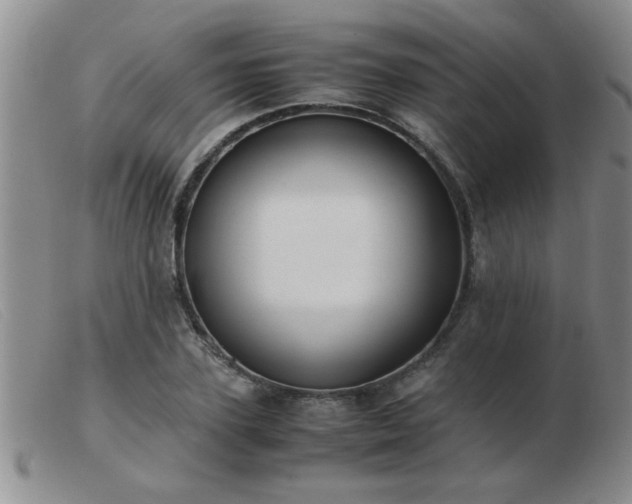 X0000103500931200809191942