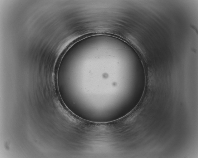 X0000103500932200809191942