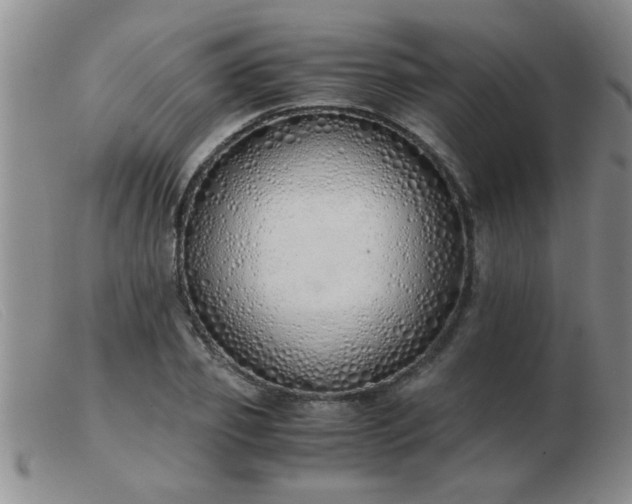 X0000103500933200809191942