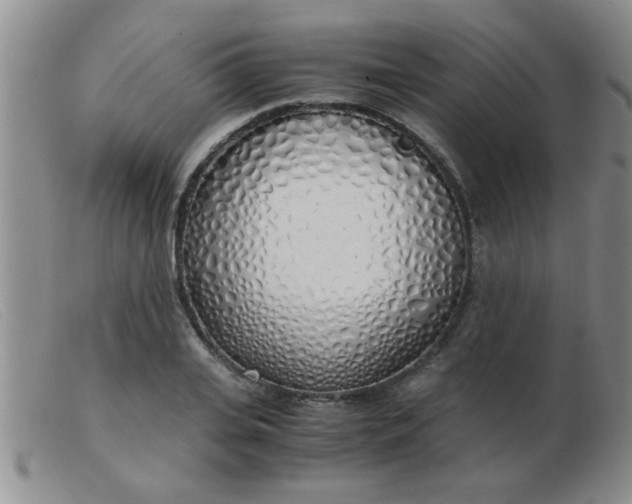 X0000103500935200809191942