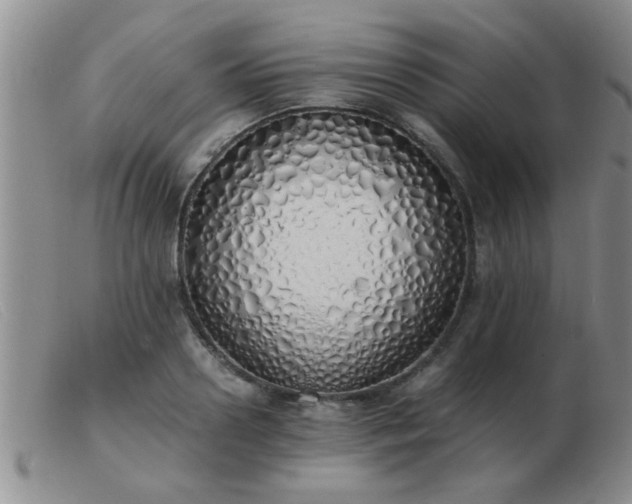 X0000103500938200809191942