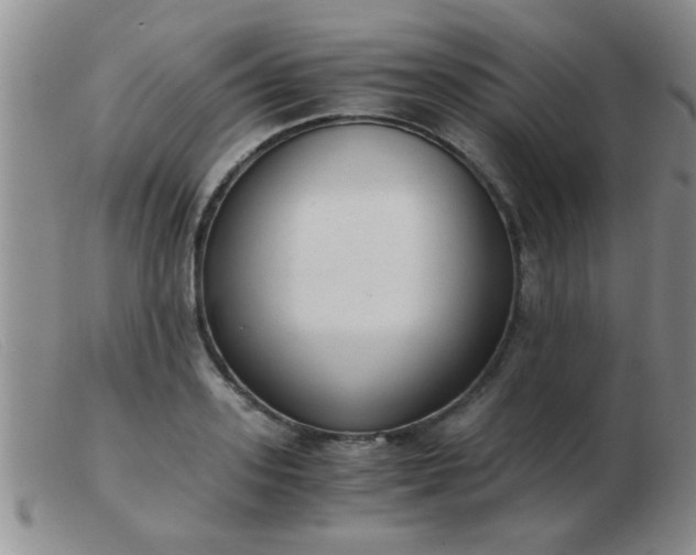 X0000103500939200809191942