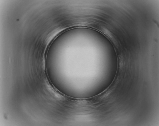 X0000103500940200809191942