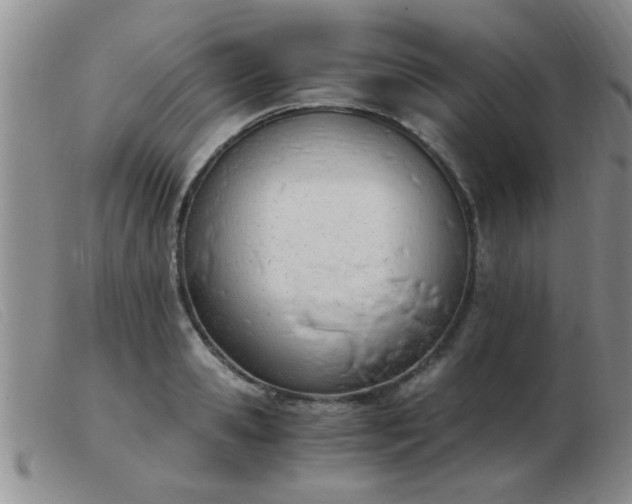 X0000103500941200809191942