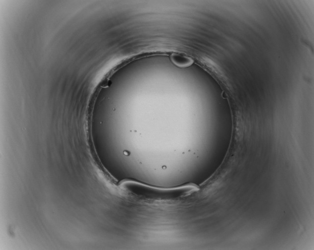 X0000103500942200809191942