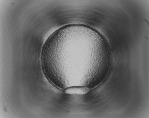 X0000103500943200809191942