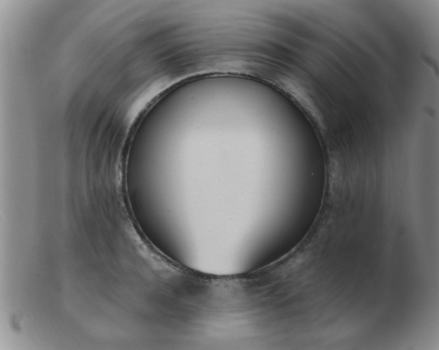 X0000103500944200809191942