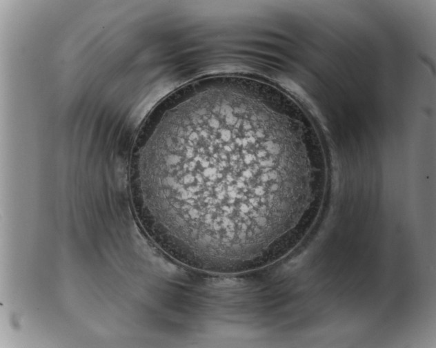 X0000103500945200809191942