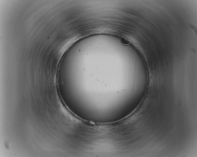 X0000103500946200809191942