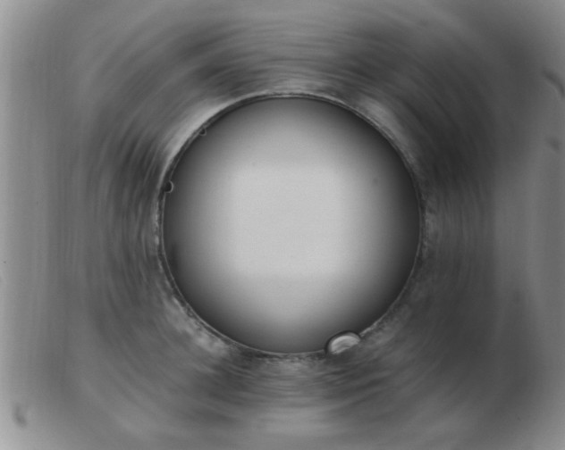 X0000103500948200809191942