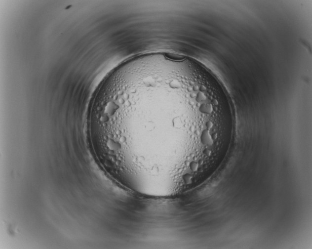 X0000103500949200809191942