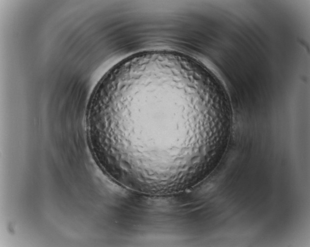 X0000103500951200809191942