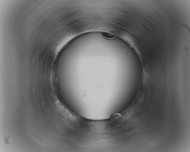 X0000103500952200809191942