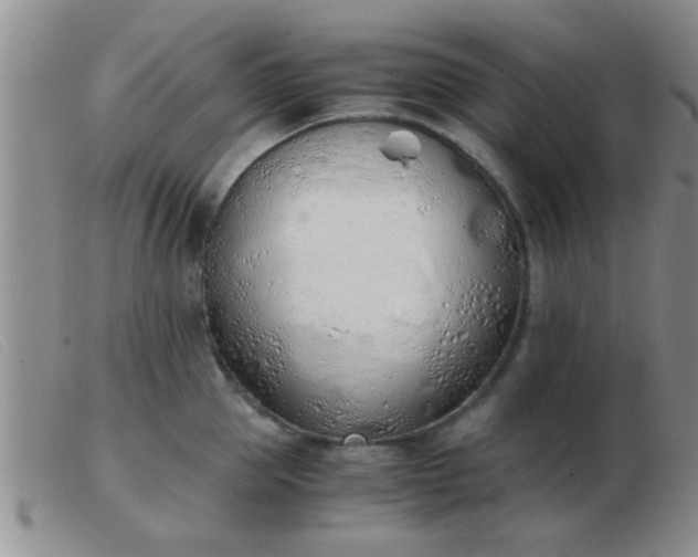 X0000103500953200809191942