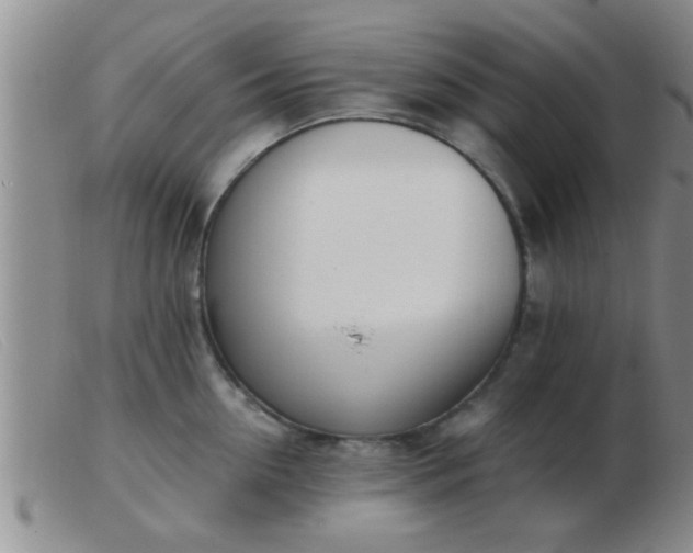 X0000103500954200809191942