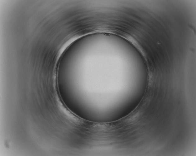 X0000103500955200809191942