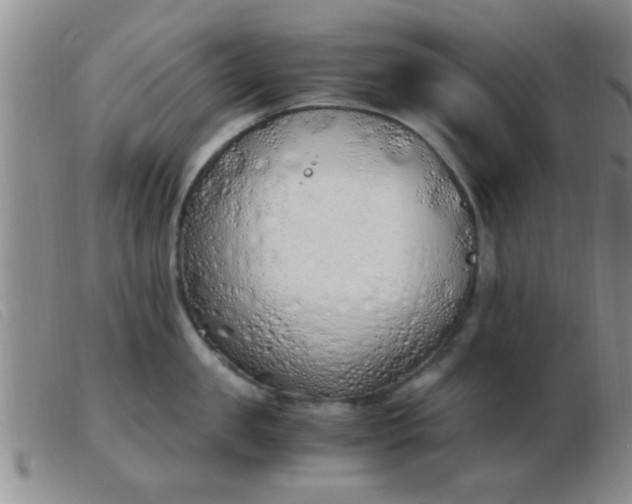 X0000103500957200809191942