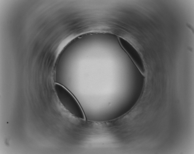 X0000103500960200809191942