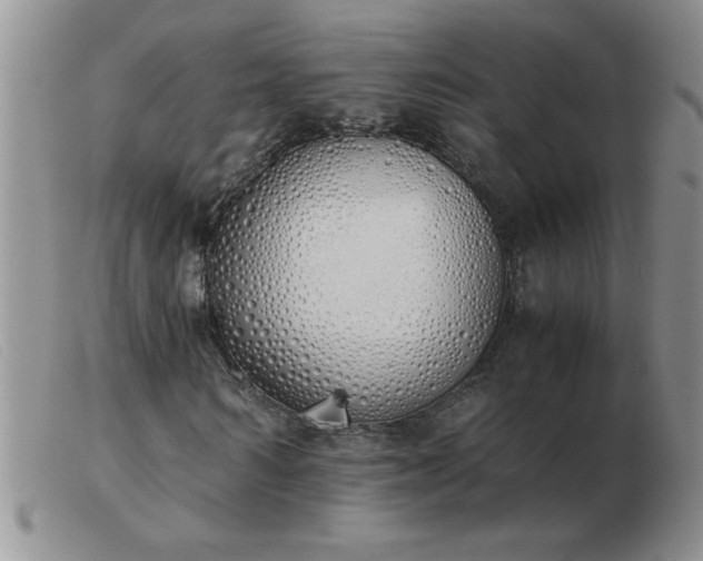 X0000103500962200809191942