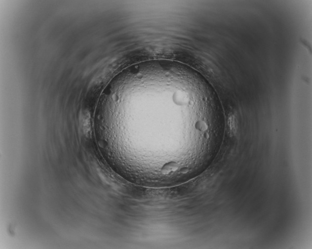 X0000103500963200809191942