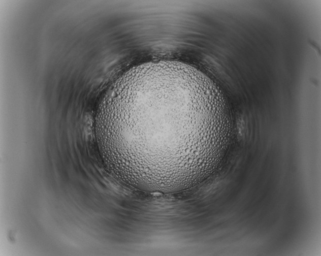 X0000103500964200809191942