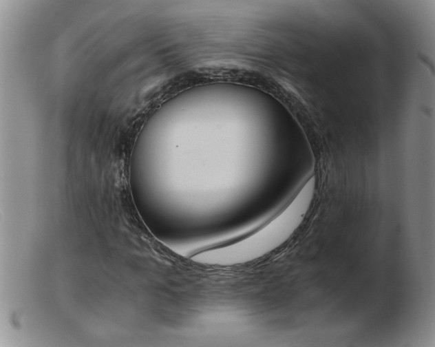 X0000103500965200809191942