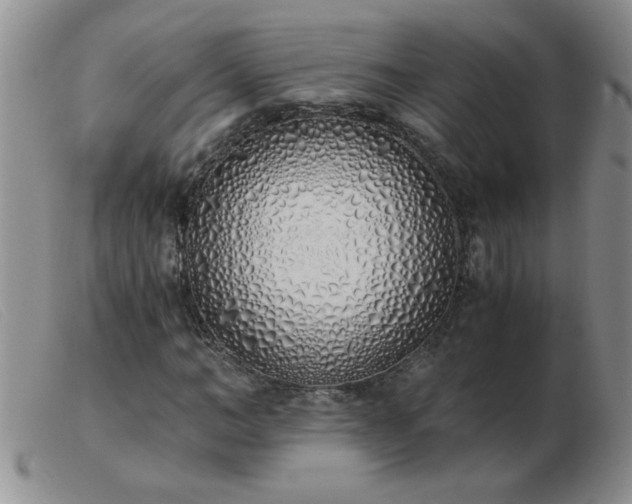 X0000103500966200809191942