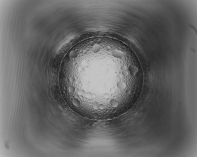 X0000103500967200809191942