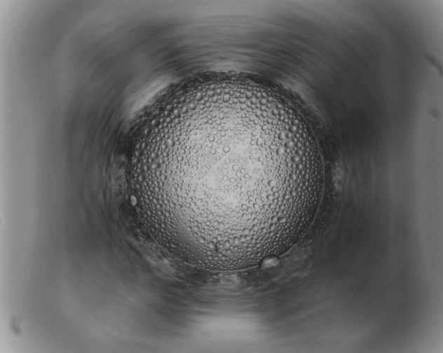 X0000103500968200809191942