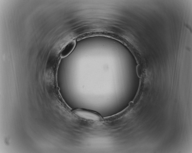 X0000103500969200809191942