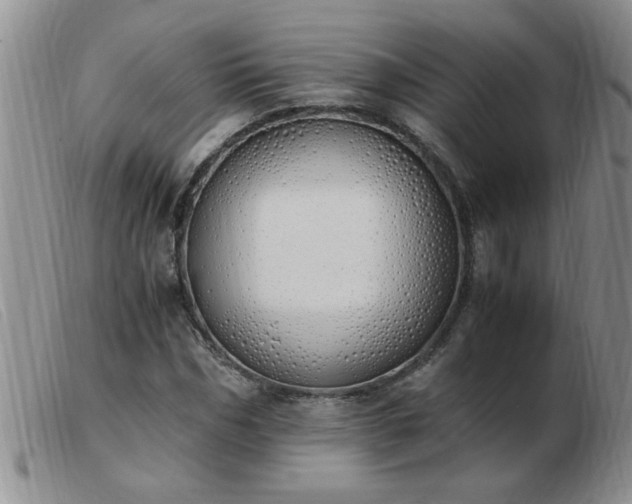 X0000103500970200809191942