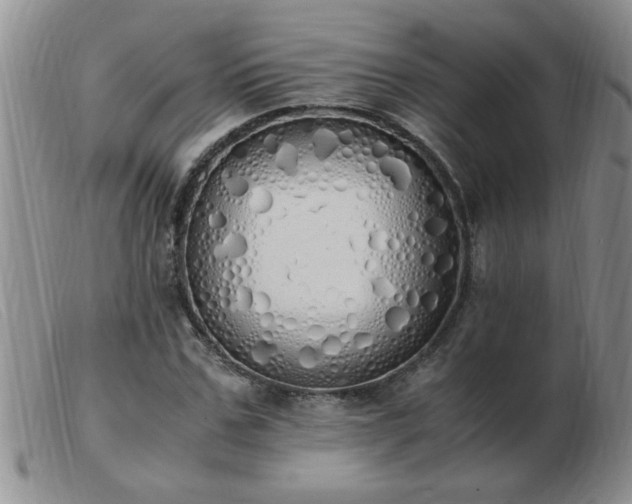 X0000103500971200809191942