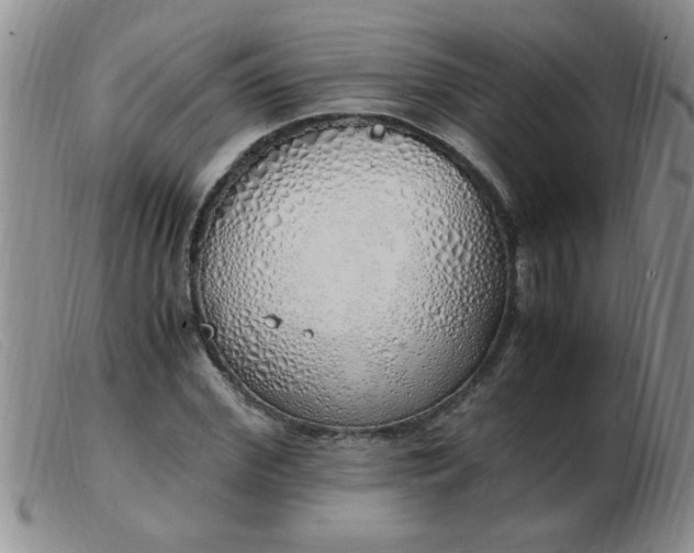 X0000103500972200809191942